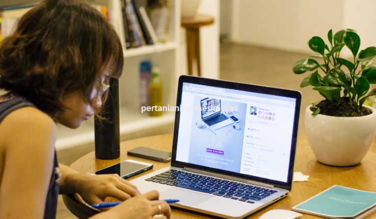 Belanja Online, Belanja Online Pertanian, Olshop, Online Shop, Toko Pertanian, Toko Pertanian Terdekat, Pertanian, Indonesia, Pertanian Indonesia